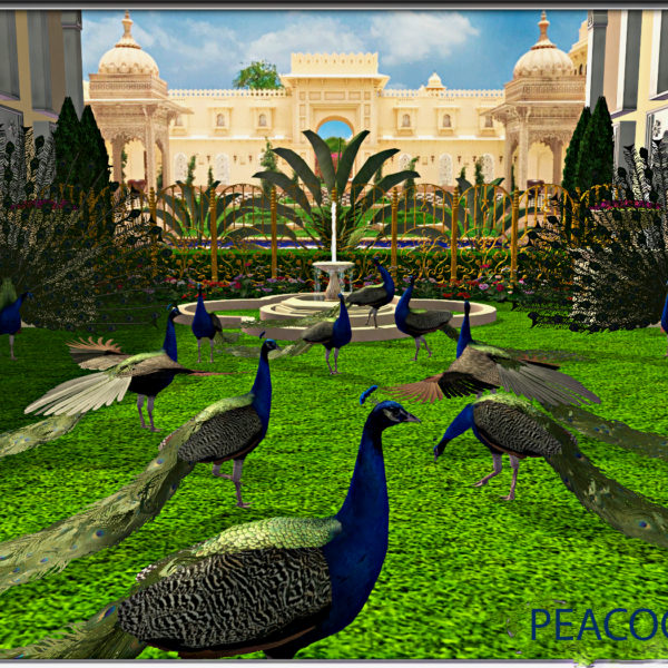 Deco Peacocks